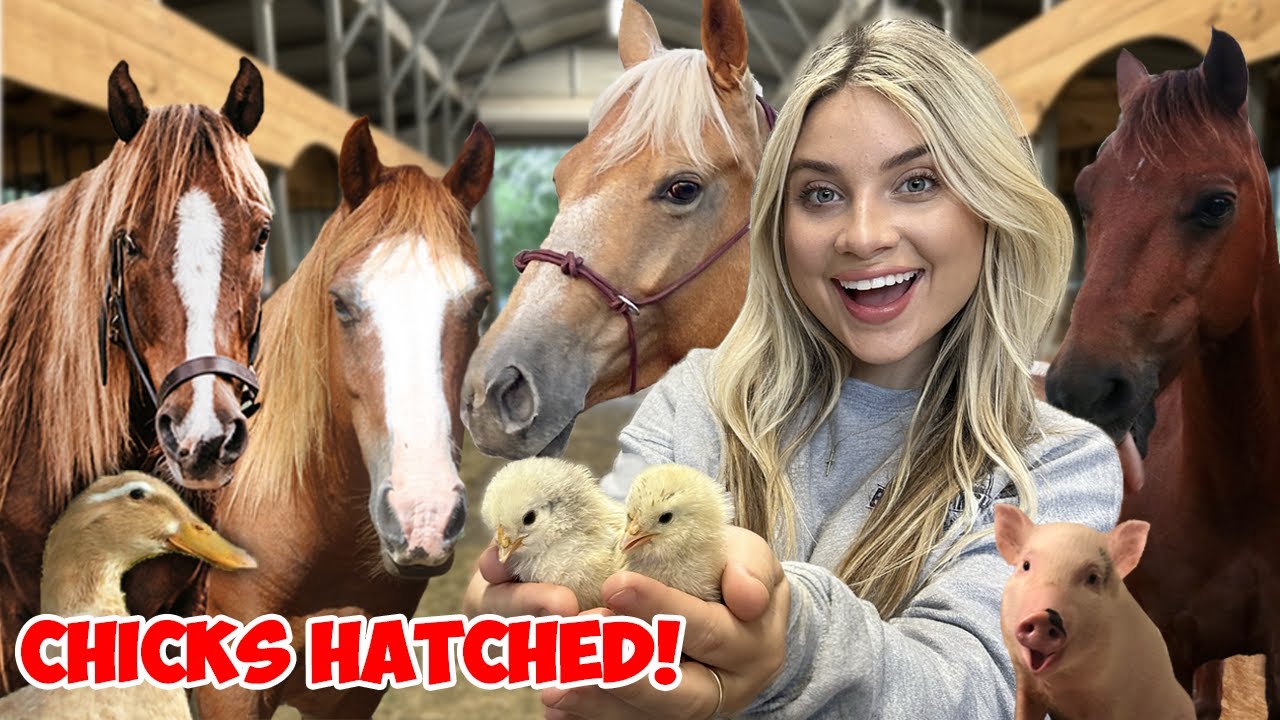 My Spring Night Routine with 40+ PETS! | Chicks HATCHING!! *SUPER CUTE ANIMALS*