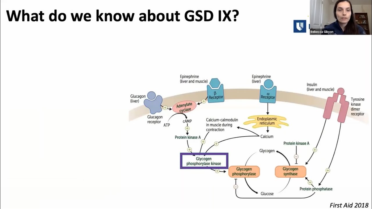 GSD 9 - Rebecca Gibson - Benign or not benign? Deep phenotyping of Liver GSD 9