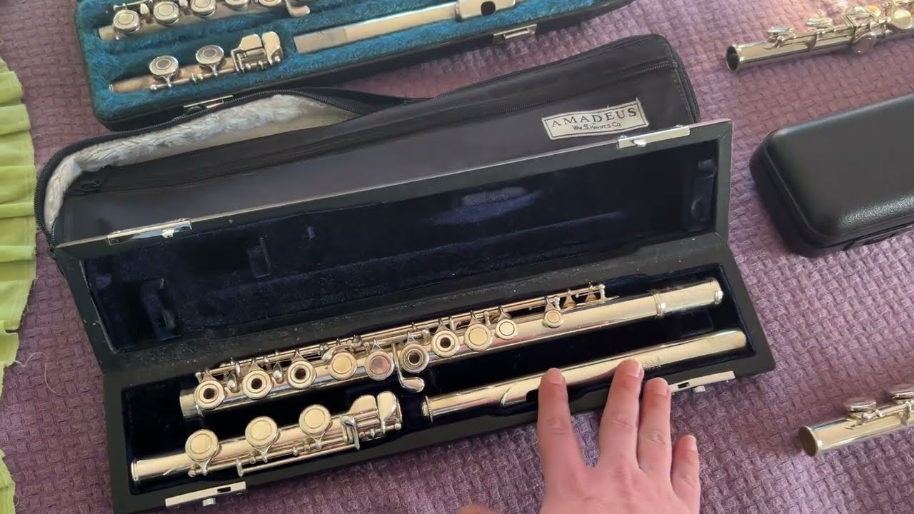 Vou comprar uma flauta transversal, e agora?