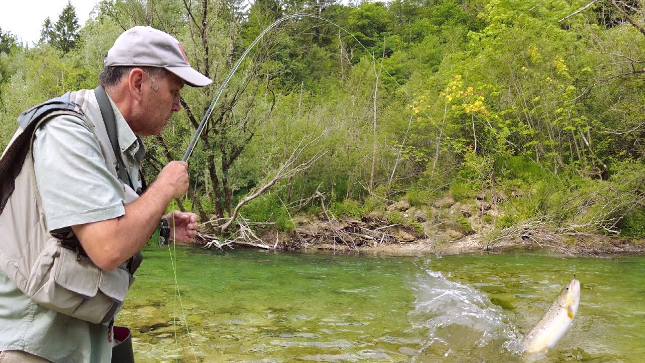 Pecanje pastrmke Sava Bohinjka i Bledsko jezero u Sloveniji | Fishing trout Slovenia