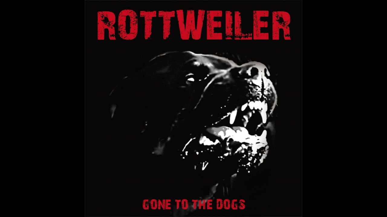 Rottweiler   Killing Machine