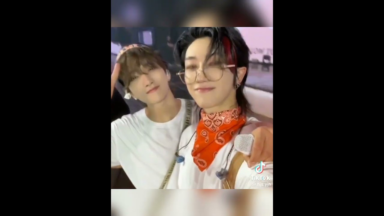 Seventeen Haoshua TikTok Edit
