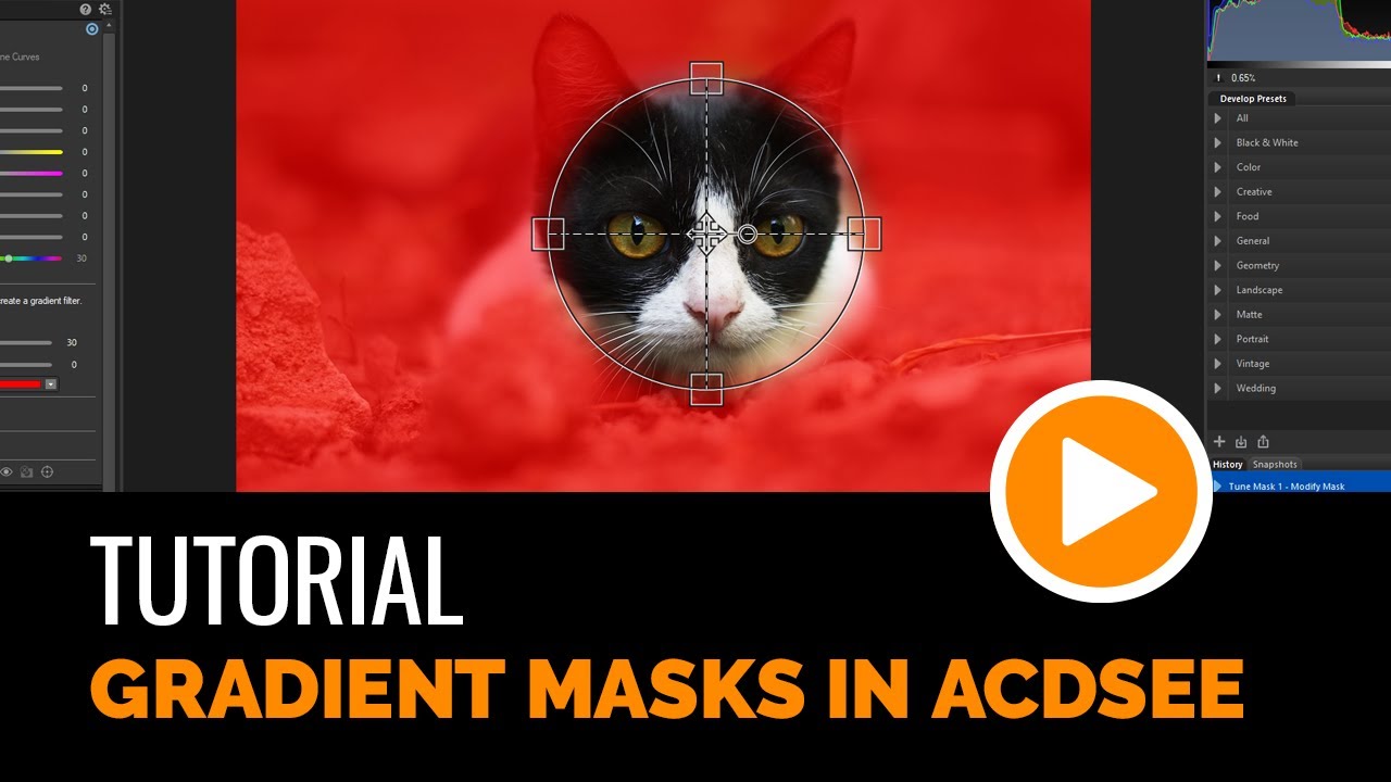 The Power of Gradient Masks in ACDSee