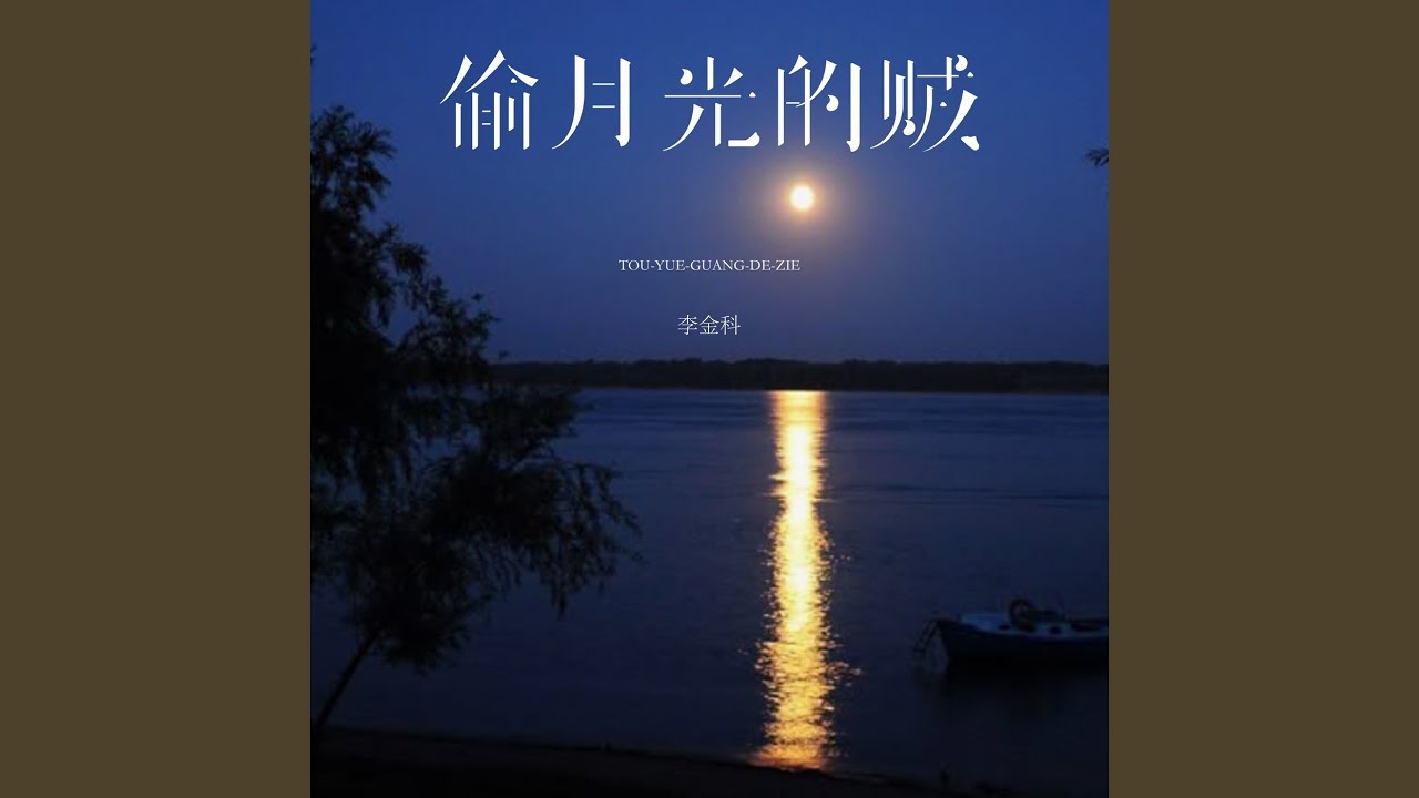 偷月光的贼 (DJ沈乐版)