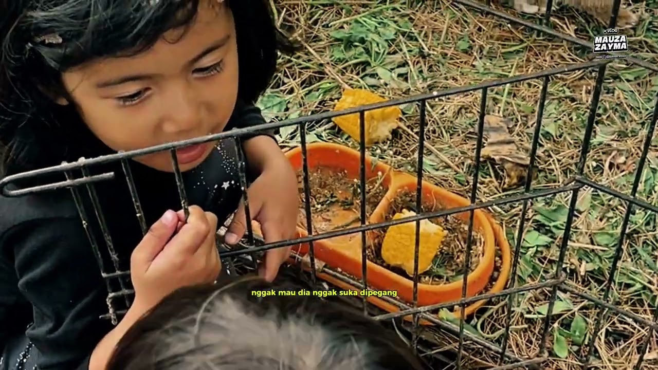 BERLIBUR DI SEKOLAH RIMBA