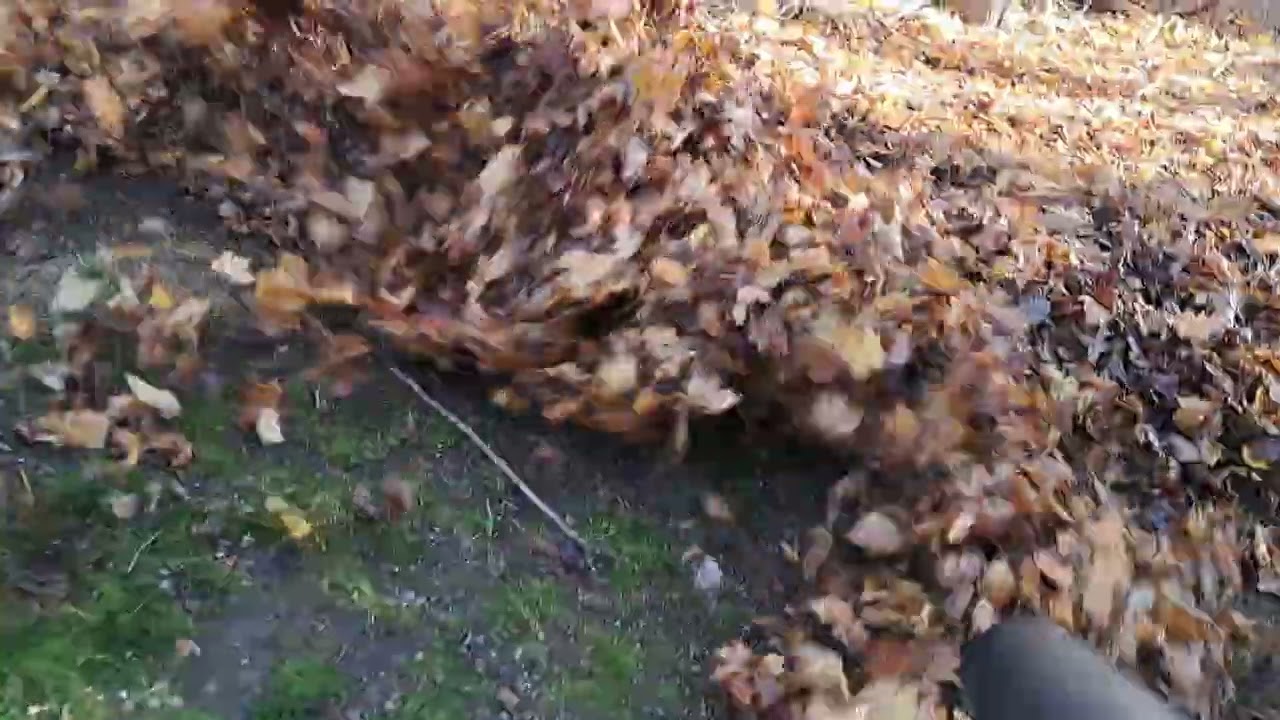 redmax ebz9000 vs wet leaves