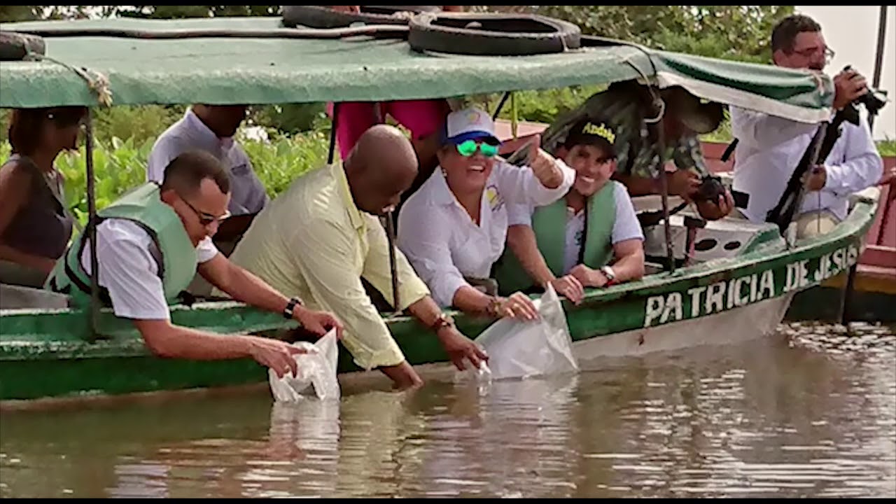 Hechos de paz ambiental en el departamento del Cesar
