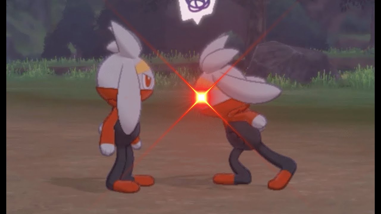 pokemon camp but it's all raboot