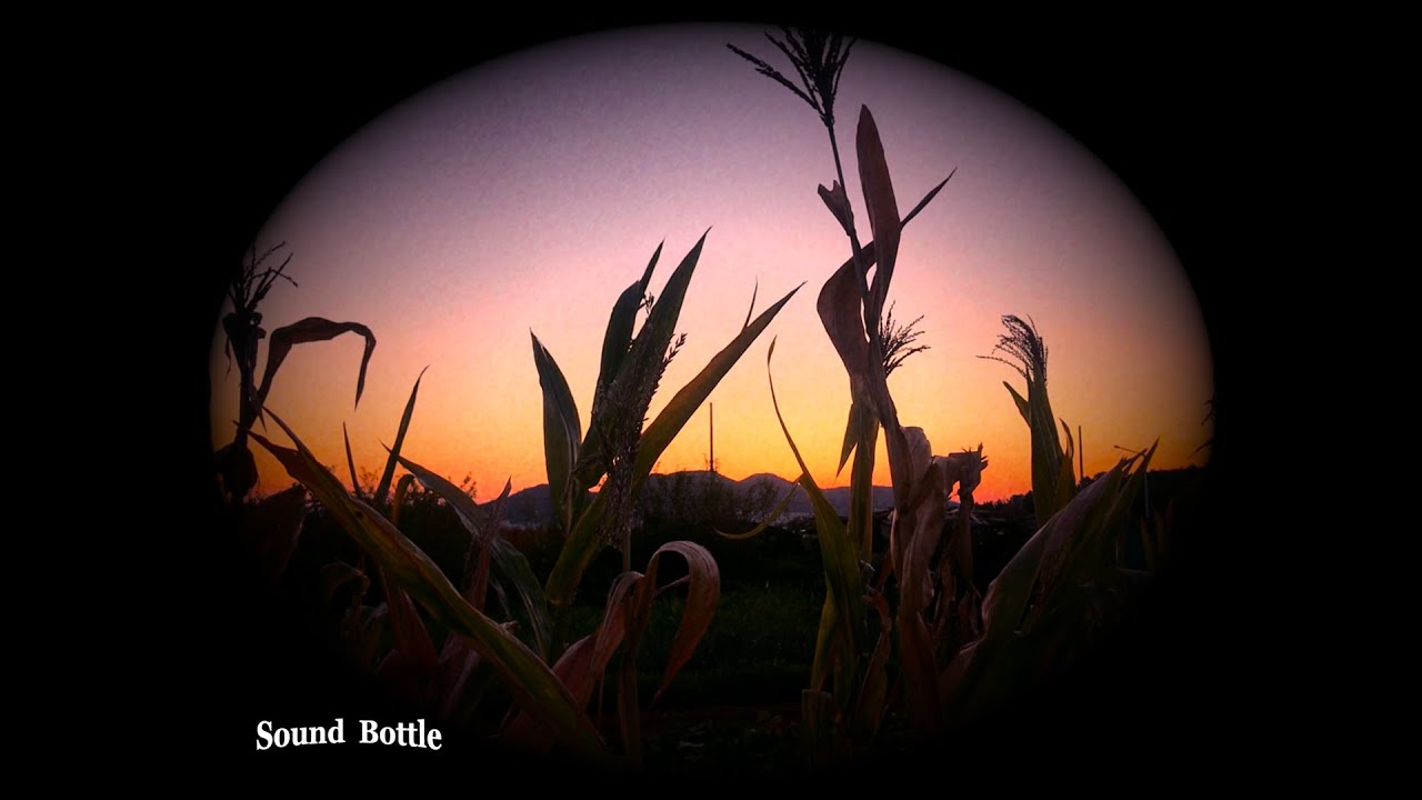 Straight White Teeth - Drown