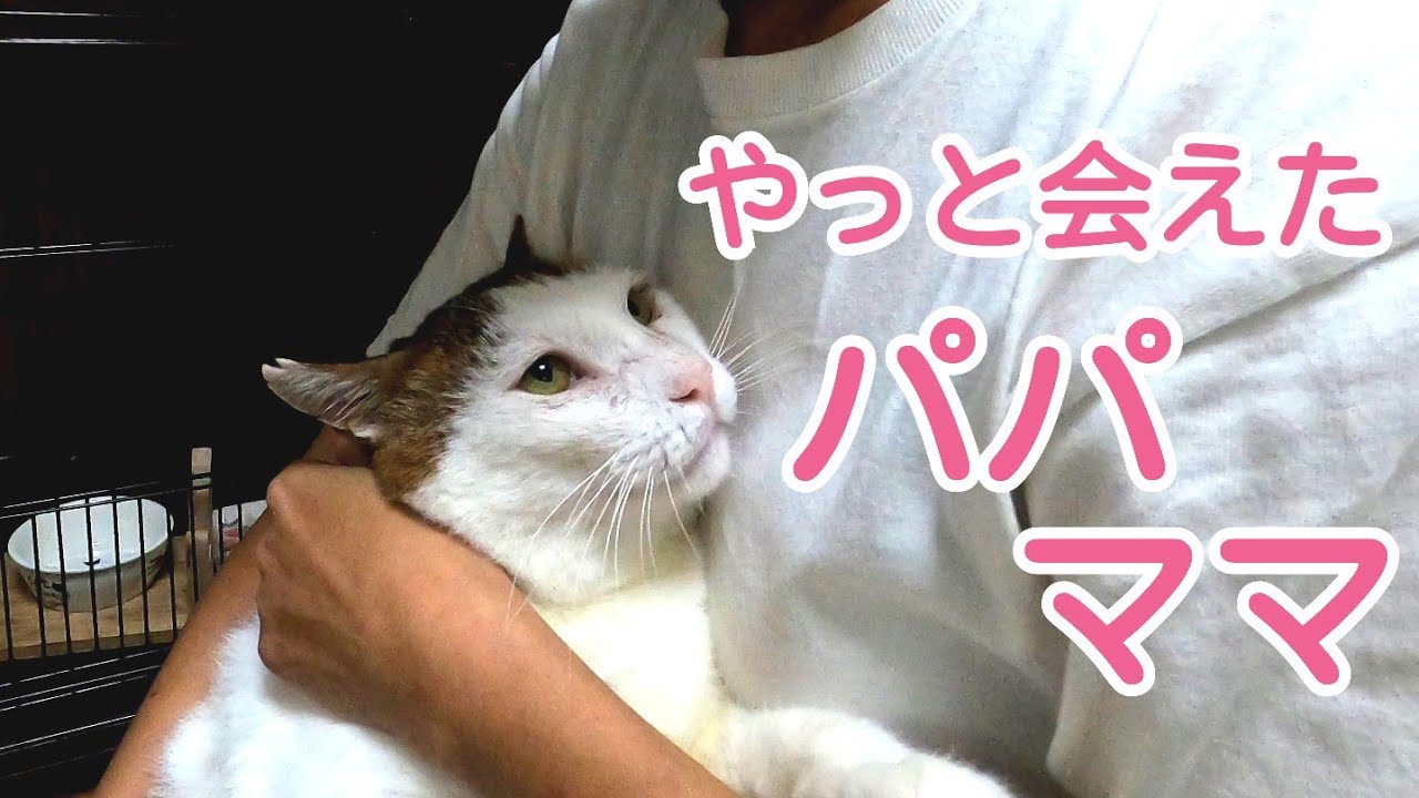 ぶーちゃんのパパとママが来てくれました！