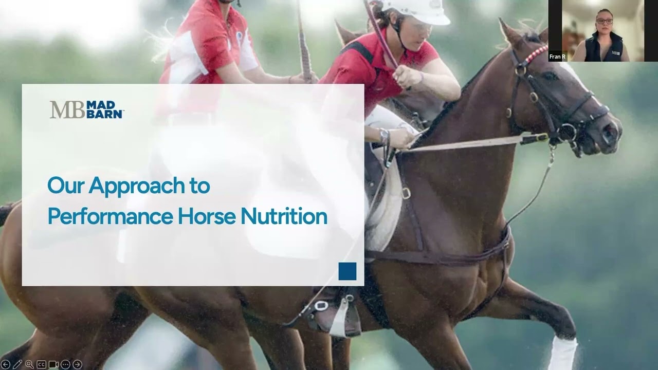 Racket Round- Up with MadBarn & Dr .Rowe