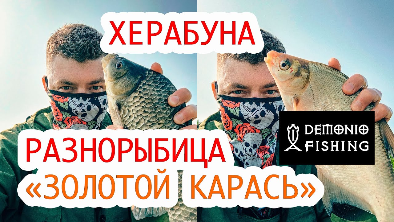 Разнорыбица На тесто для Херабуны "Золотой Карась" DEMONIO FISHING.