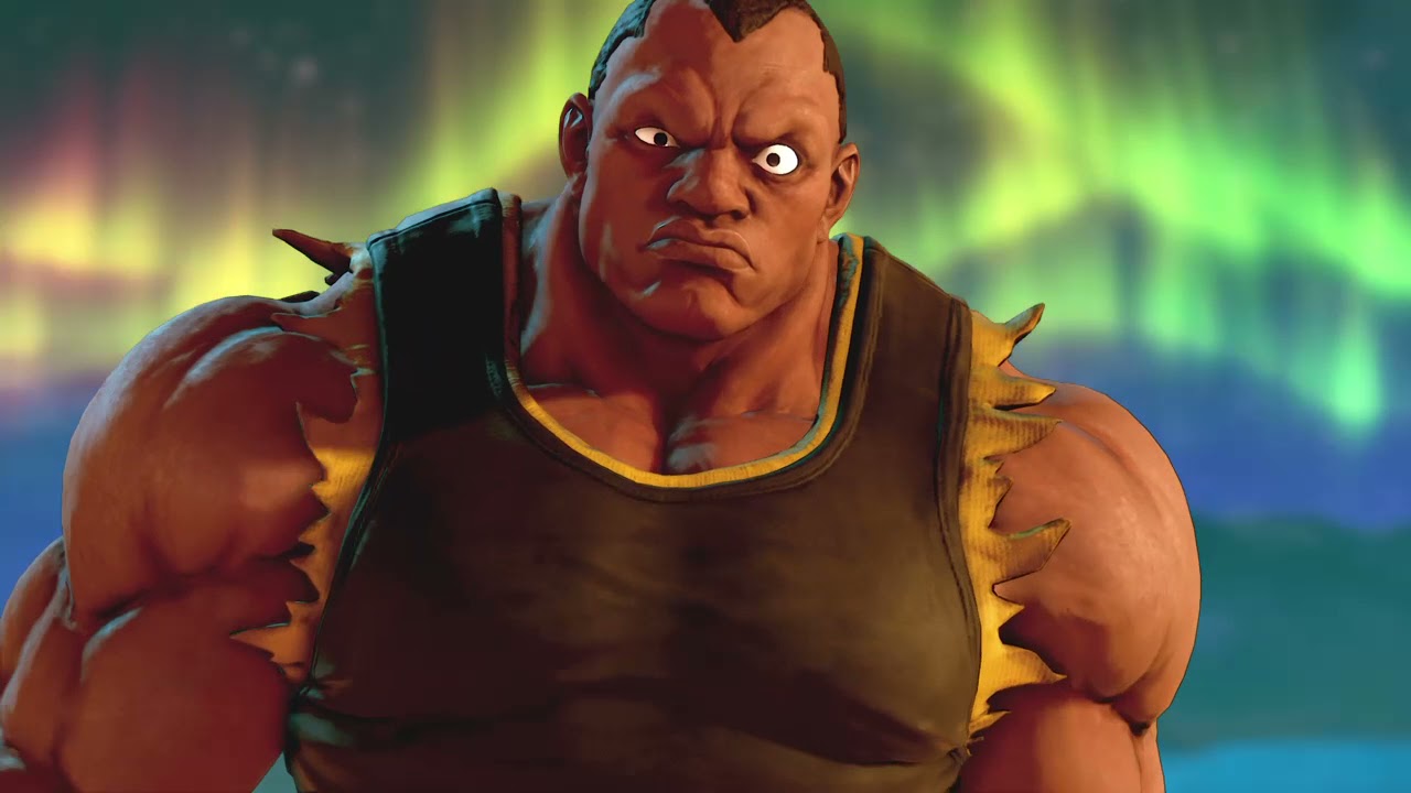 STREET FIGHTER V 24813