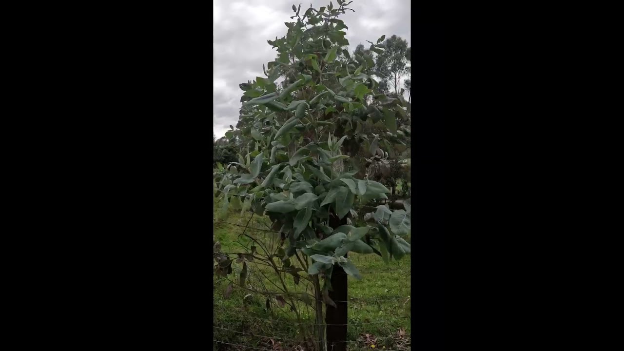 Beautiful home north of Bogota.
