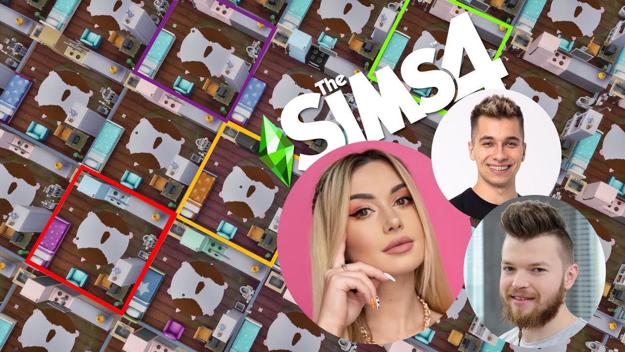 100 SIMÓW VS IZOLACJA (ft. influcenerzy)