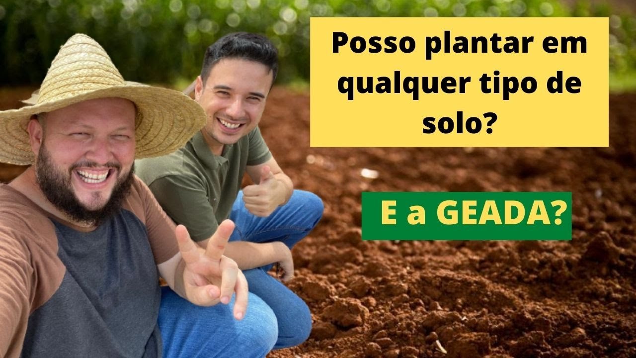 Qual melhor tipo de solo para plantar horta? Como enfrentar a geada na horta?