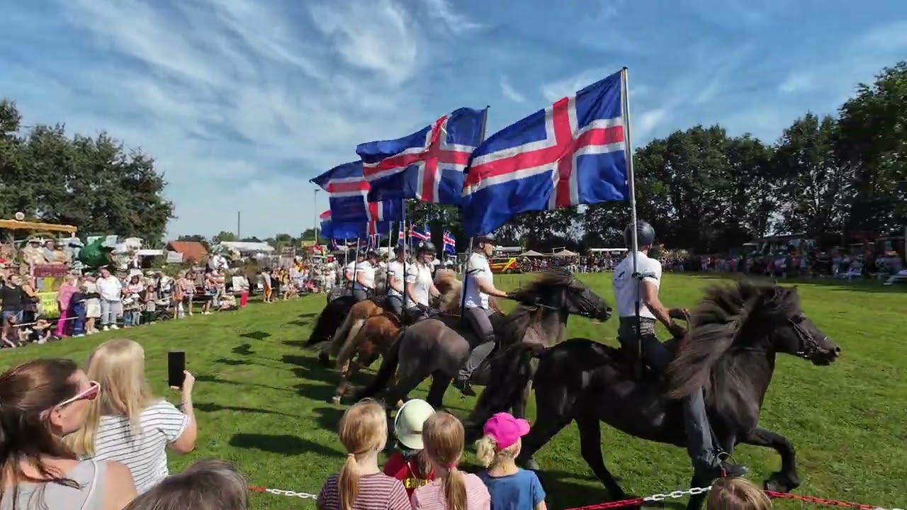 Großes Erntefest Helmste 01.09.2024 - Islandpferde-Vorführung von 