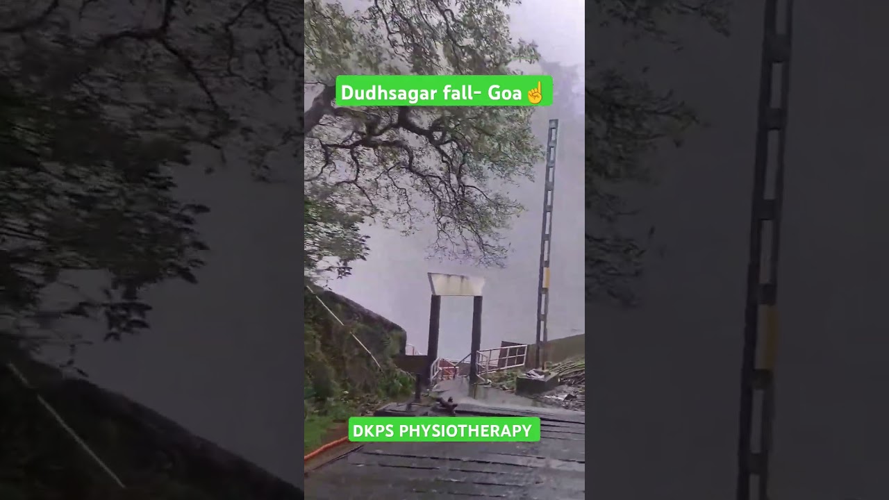 #dkps #dudhsagarfallsingoa #goa #fall #sorts #youtubeshorts