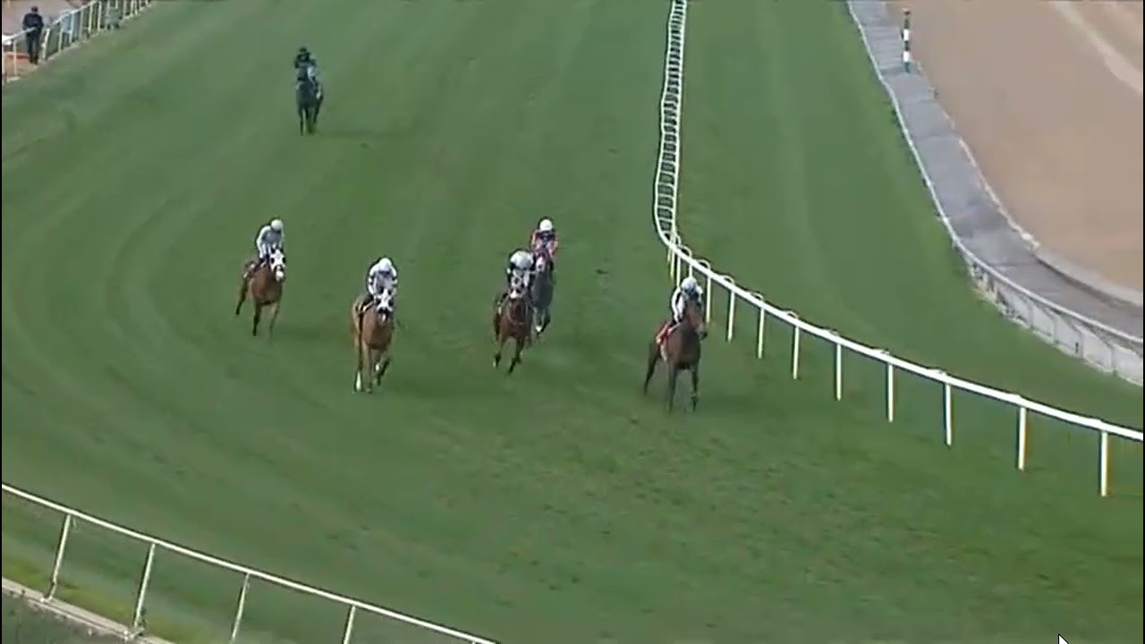 R1 SANTA ANITA USA 24 JAN 2026