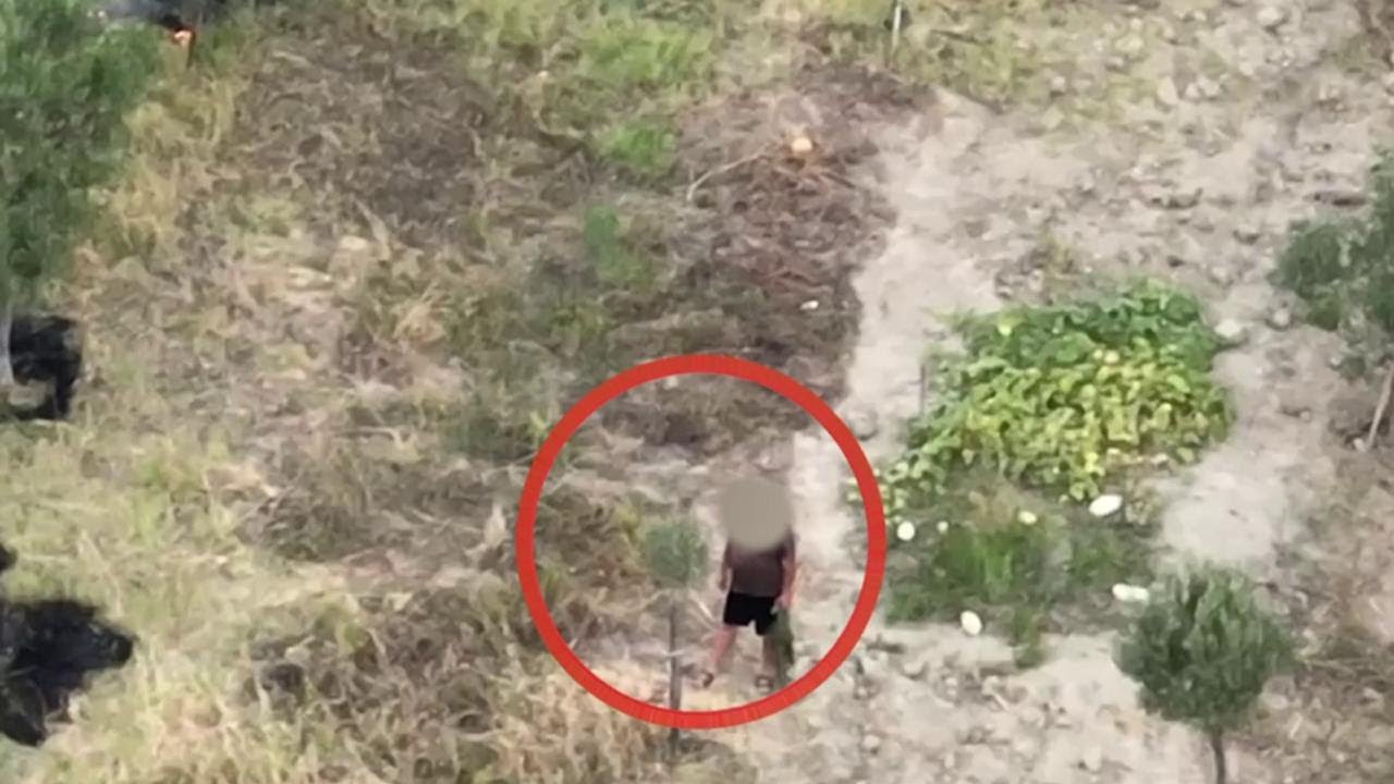 Piromane beccato dal drone. Il governatore della Calabria, Occhiuto: "Con il fuoco non scherziamo"