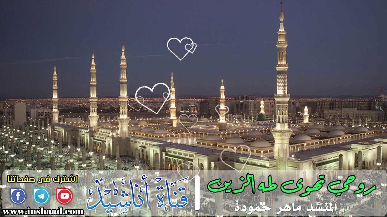 روحي تهوى طه الزين | المنشد ماهر حمودة