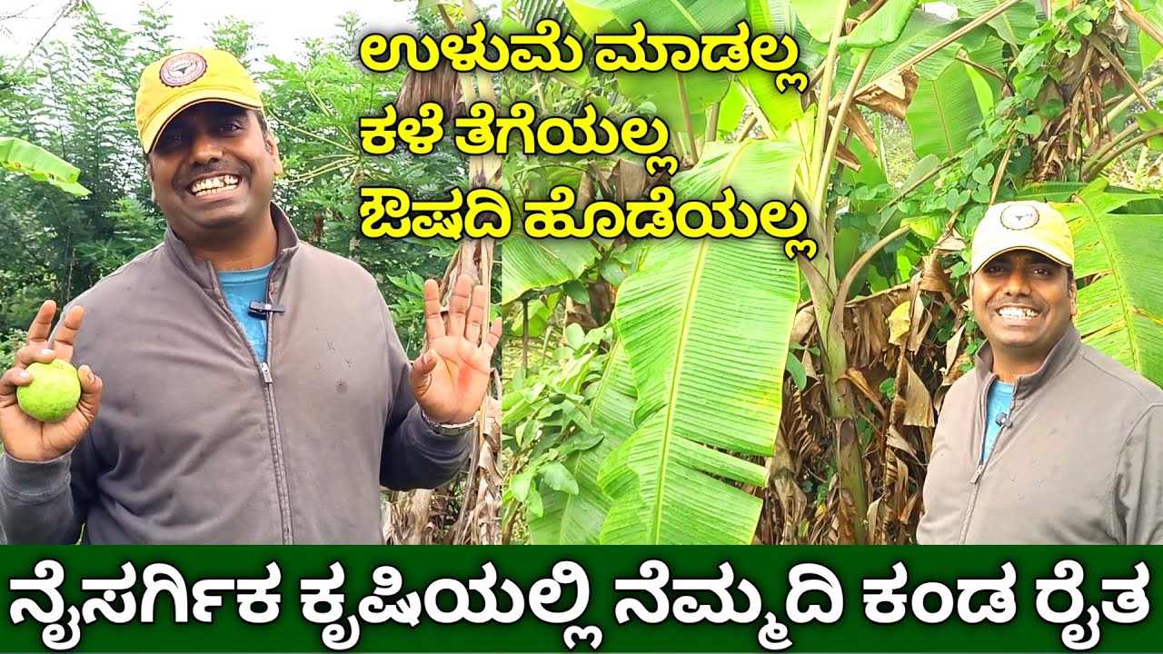 ನೈಸರ್ಗಿಕ ಕೃಷಿಯಲ್ಲಿ ನೆಮ್ಮದಿ ಕಂಡ ರೈತ | Organic Farming In Kannada | Natural Farming In Kannada