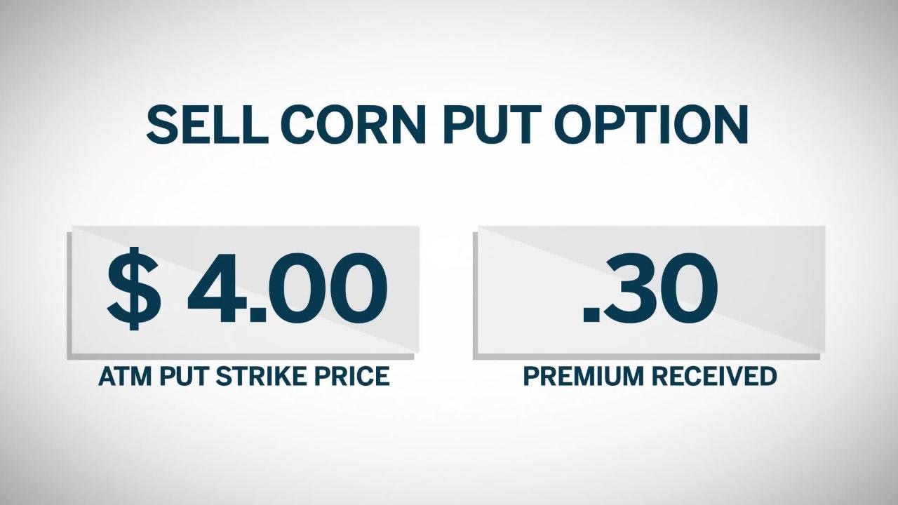Comparing Grain Buying Strategies