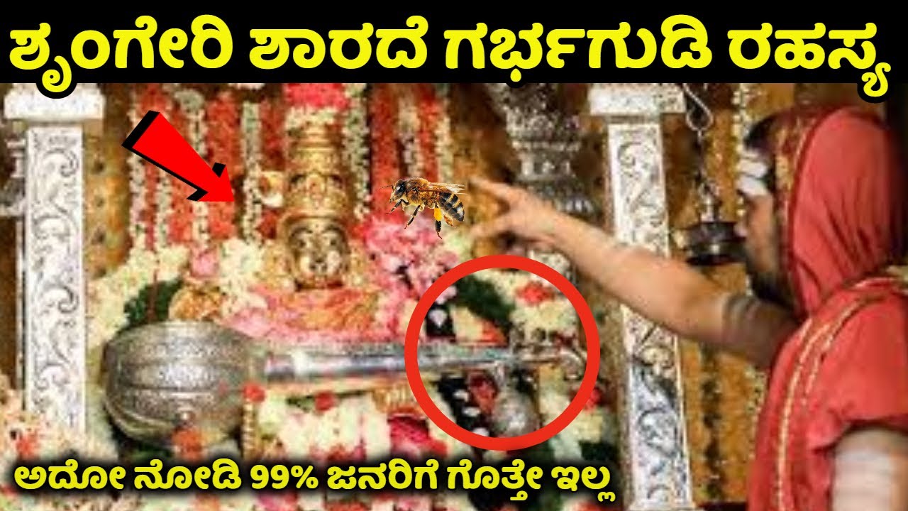 ಅದೋ ನೋಡಿ ಶೃಂಗೇರಿ ಶಾರದೆ ದೇವಸ್ಥಾನದ ಗರ್ಭಗುಡಿ ರಹಸ್ಯ, 99% ಜನರಿಗೆ ಗೊತ್ತೇ ಇಲ್ಲ | Sringeri Temple Big Secret