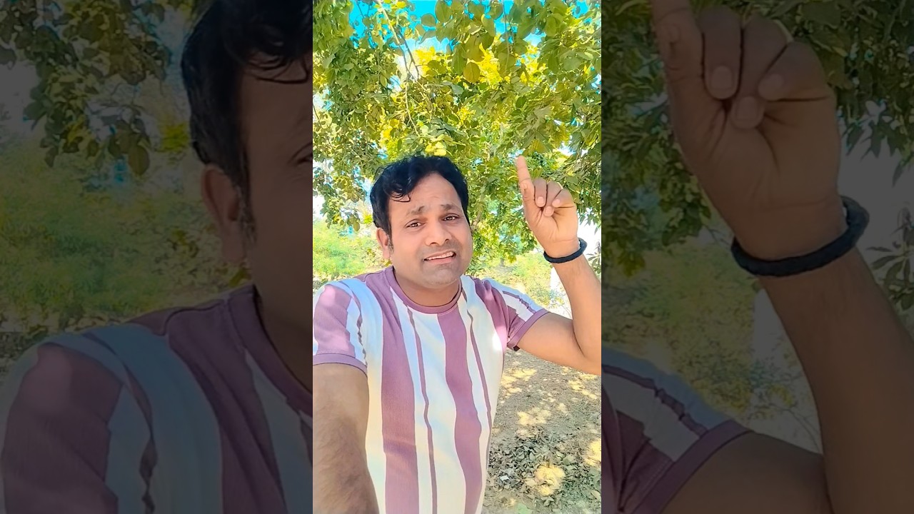 हमें आसमान ने भेजा
