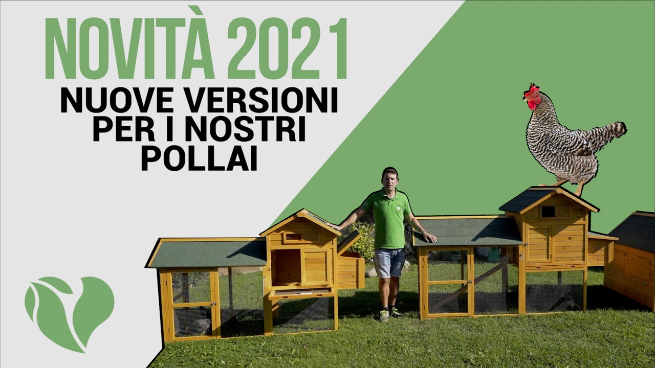 Pollaio in legno con tetto bituminato: novit&agrave; 2021
