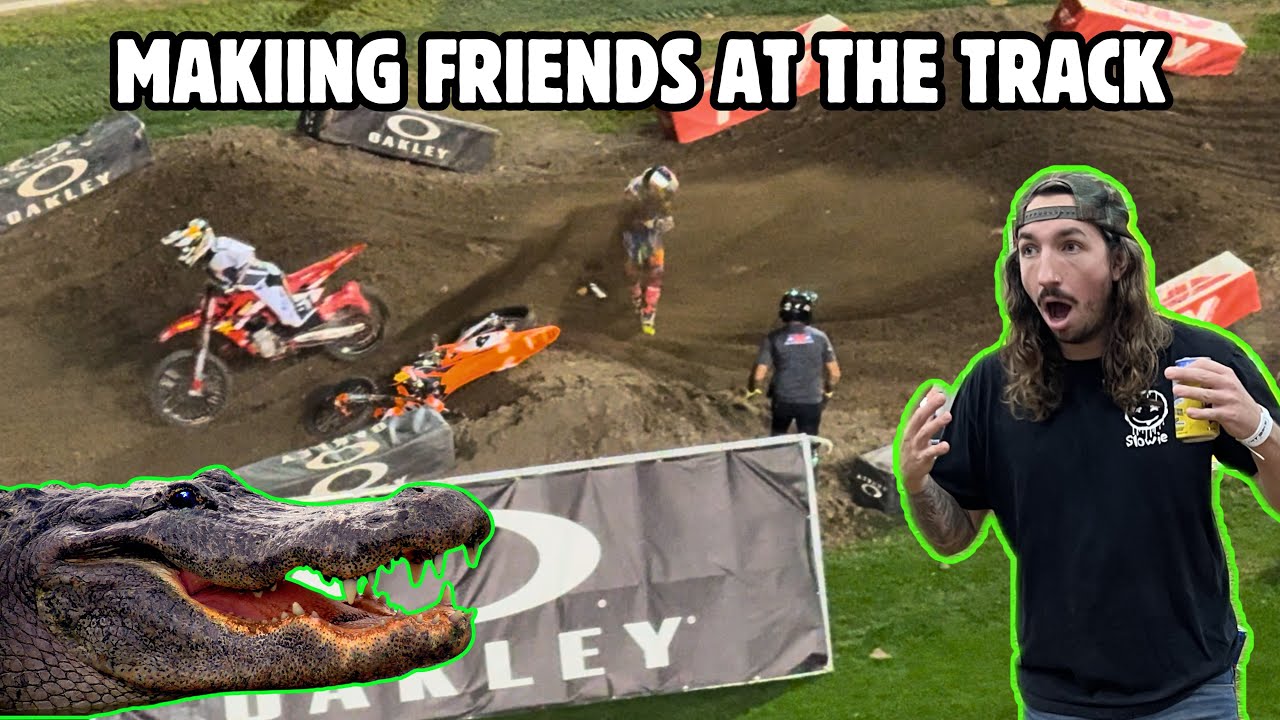 Alligators & Daytona Bike Week