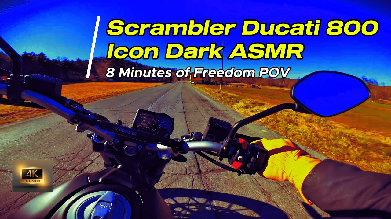 Raw LeoVince LV-10 DUCATI Scrambler ASMR | The Only Sound You Need Today | DJI Action4 [4K]