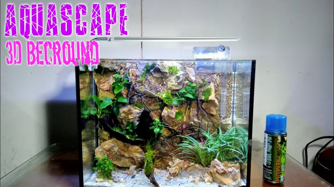membuat aquascape 3D simpel ‼️ mudah di rawat