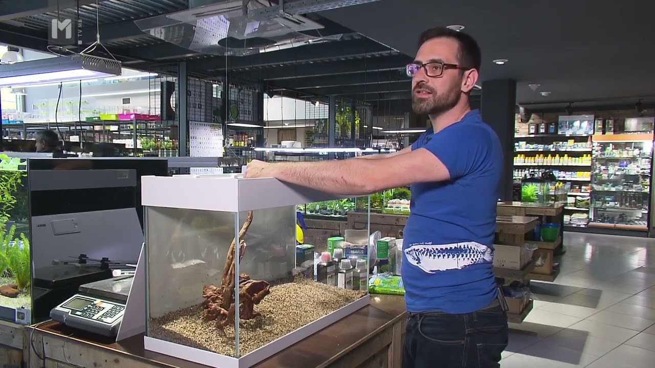 Urejanje akvarija/Mr.Pet/ O živalih in ljudeh