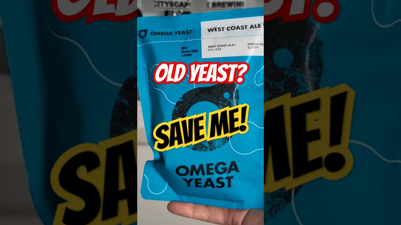 Easy way to bring back old yeast!! #beer #craftbeer #homebrew #yeast