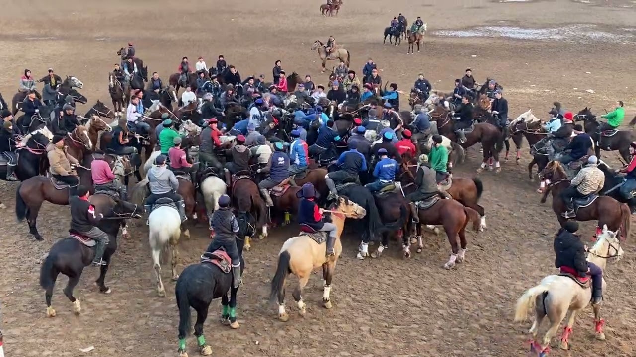 15.02.2026 Коля  шабандоз Арыс көкпар