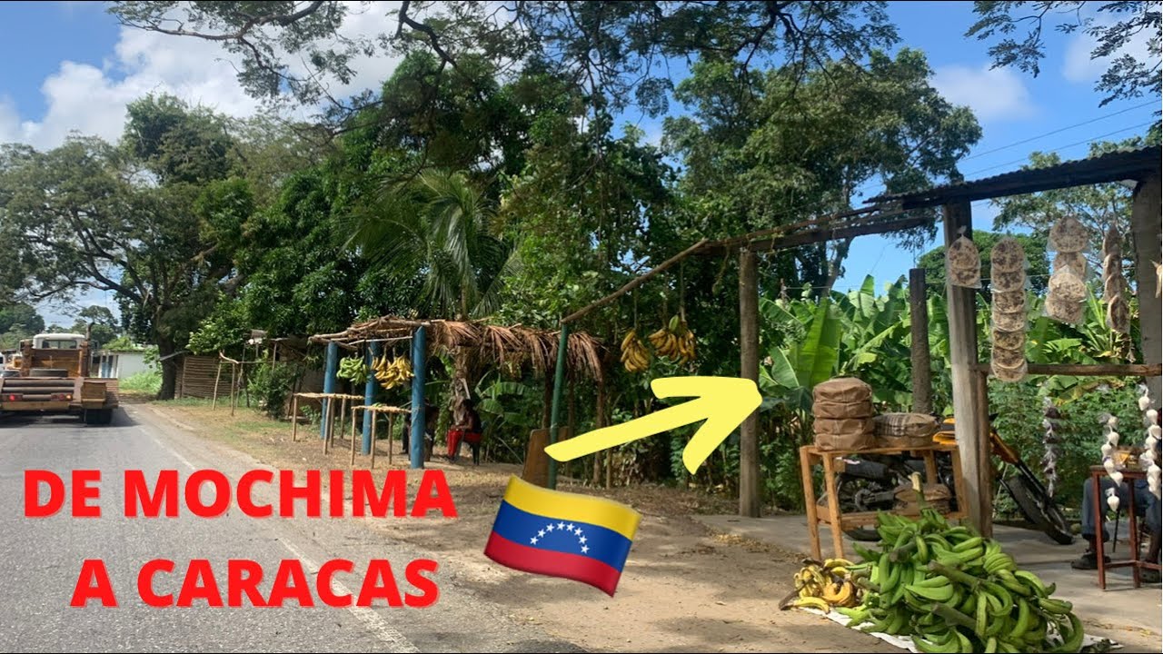 Probando COMIDA DE CARRETERA en VENEZUELA: versión oriente 🐖🇻🇪 | GLADYS SEARA