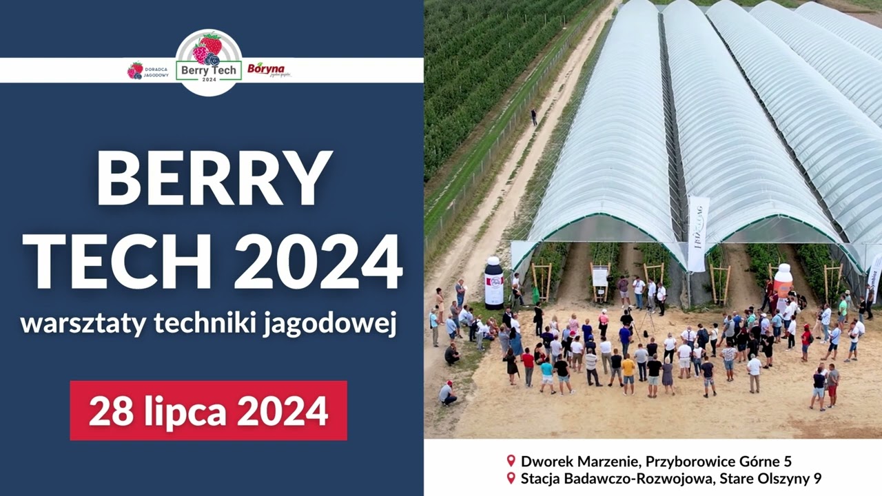 Technologia uprawy późnych odmian truskawek, jakich błędów nie popełnić, Wszystko na Berry Tech 2024