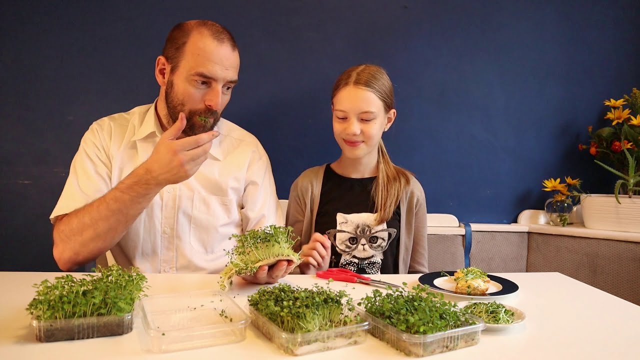 Kuchnia molekularna -[#12] - Microgreen, Mikro Liście, mikro ogrody
