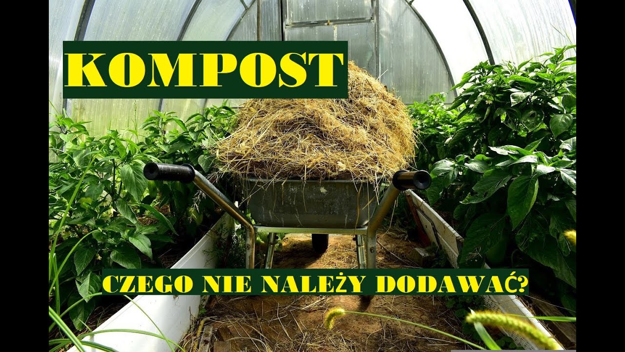 KOMPOST - CZEGO NIE NALEŻY DODAWAĆ?