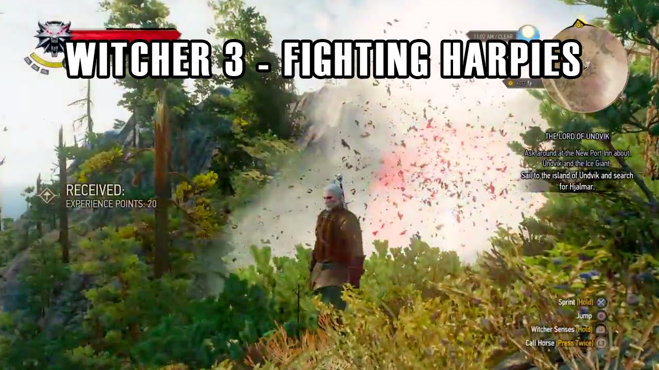 The Witcher 3: Wild Hunt - Fighting Harpies