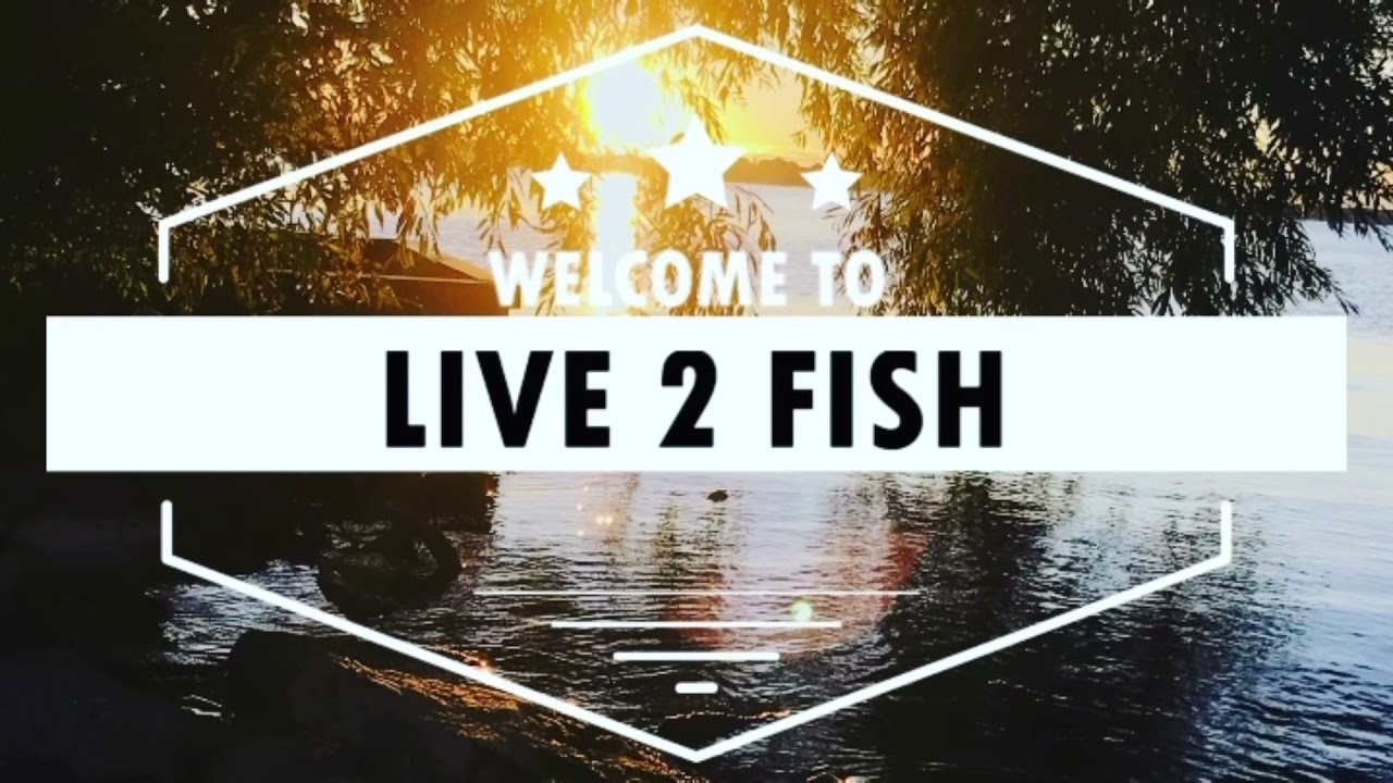 How to set the ZMan TRD on the Ned jig head | Tying to the line with a palomar knot