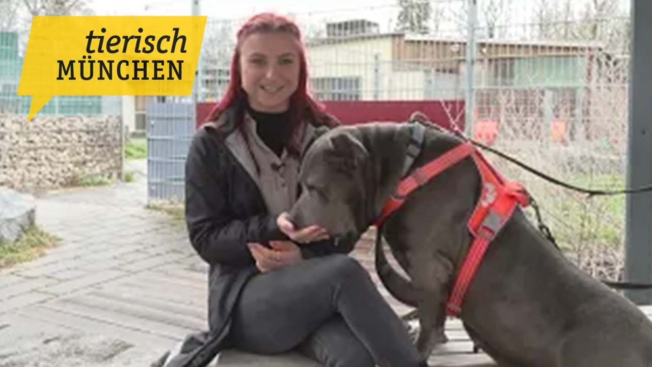 Tierisch München vom 08.05.2023