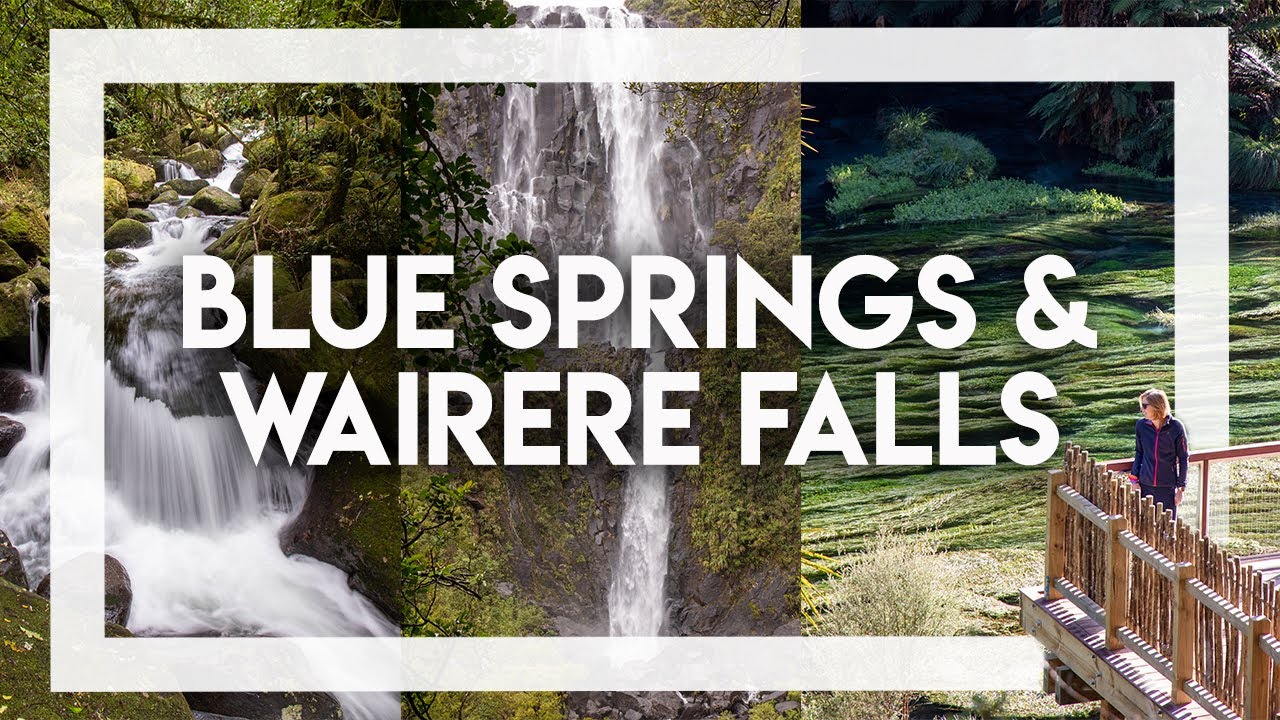 Blue Springs & Wairere Falls | Day Trips from Tauranga