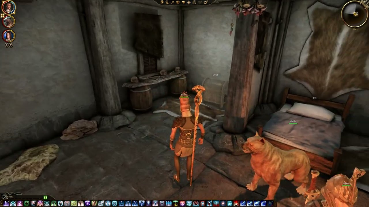 Dragon Age Origins - Female Mage - Nightmare - The Witch Hunt