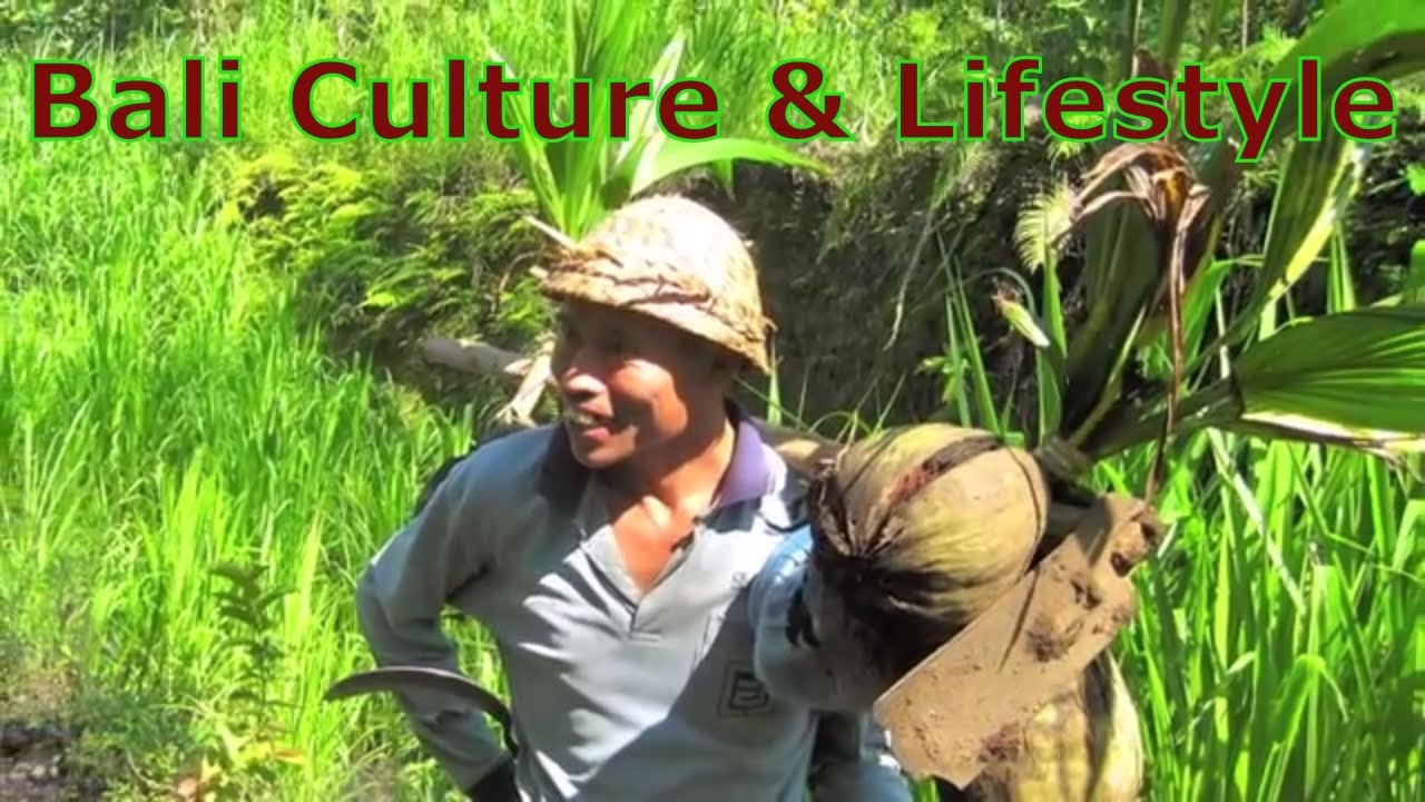 Bali Culture and Lifestyle: Traditional Bali Music, Homestay, & Bali Culture