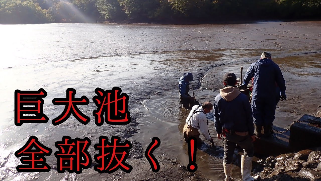 巨大池の水、全部抜く！！！