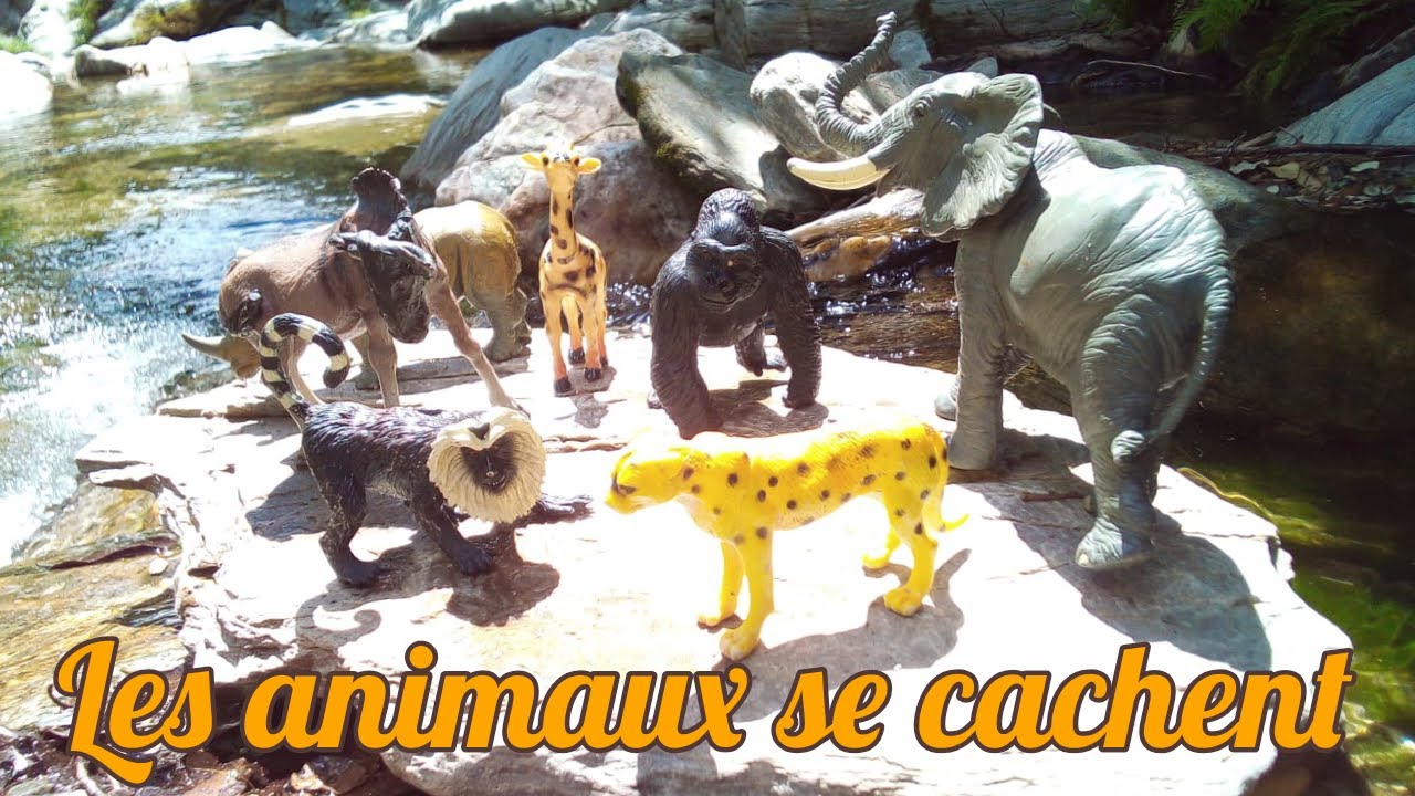 Les animaux se cachent 🧐😄 #animaux