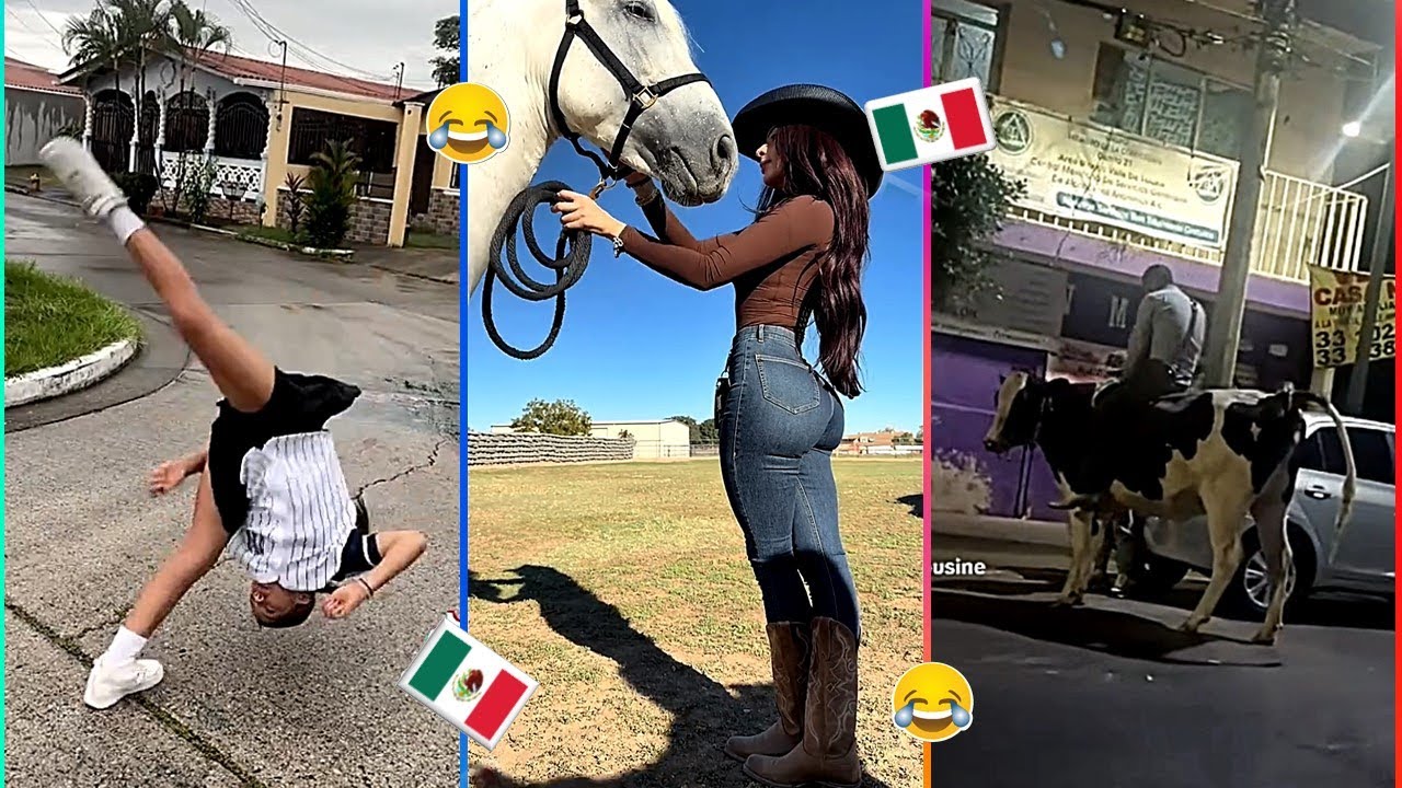 🔥HUMOR VIRAL 🇲🇽 PURO HUMOR 🤣😏🥵🤙🏻 memes mexicanos V&iacute;deo 346 del a&ntilde;o