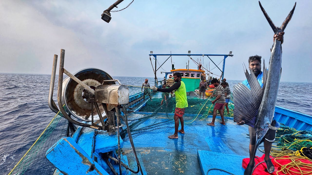 Day-02 | Massive 500kg Tuna Caught on Day 2 of My Deep Sea Adventure 🤗 | S01-EP02 | Tamil